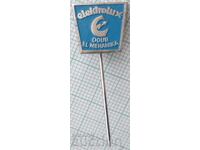 18965 Значка - Електролукс