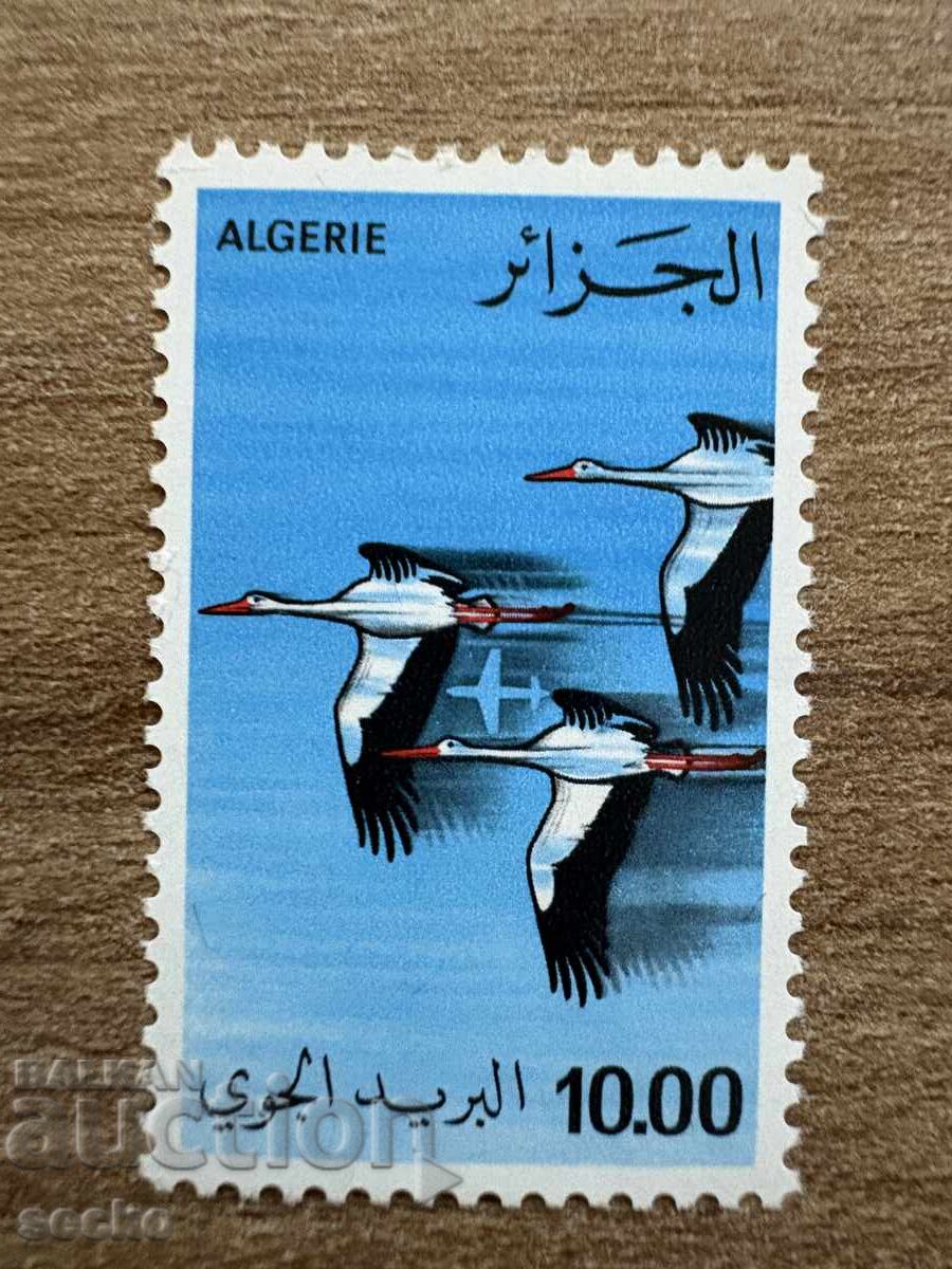 Αλγερία - Πελαργοί (1979) MNH Αλγερία - Πελαργοί (1979) MNH