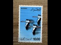 Алжир - Щъркели (1979) MNH