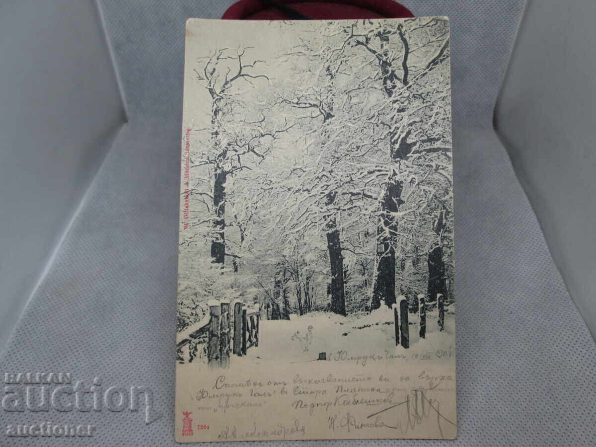 Аукцион ЮМРУК ЧАЛ-1901