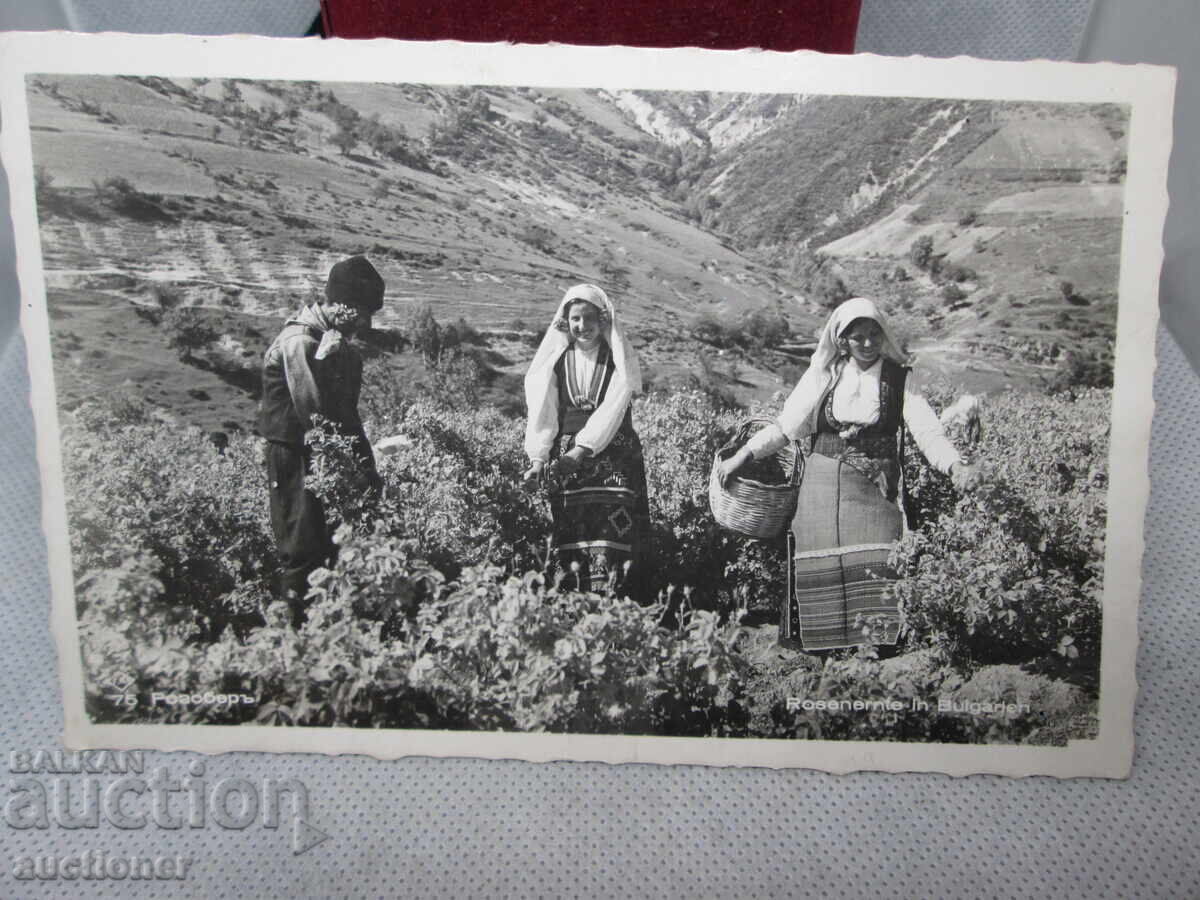 ΡΟΖΟΜΠΕΡ - ΠΑΣΚΟΦ 1939