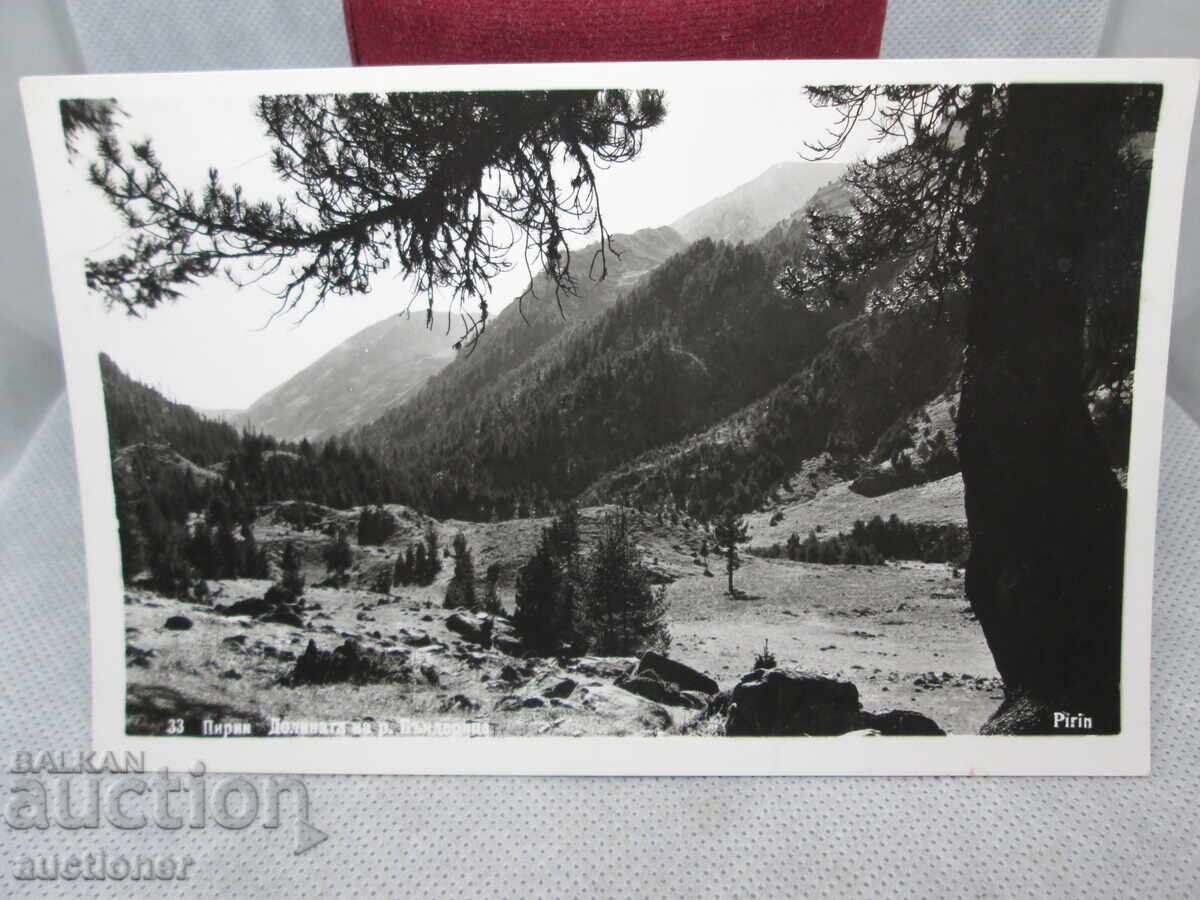 ΠΙΡΙΝ ΚΟΙΛΑΔΑ ΤΟΥ ΠΟΤΑΜΟΥ ΜΠΑΝΤΕΡΙΤΣΑ με τιμή 20.00 BGN | € 10.23