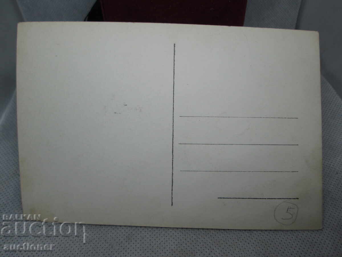 Аукцион ПИРИН ЕЛЪ ТЕПЕ И КУТЕЛА