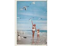 Carte poștală Bulgaria Marea Neagră Vedere*