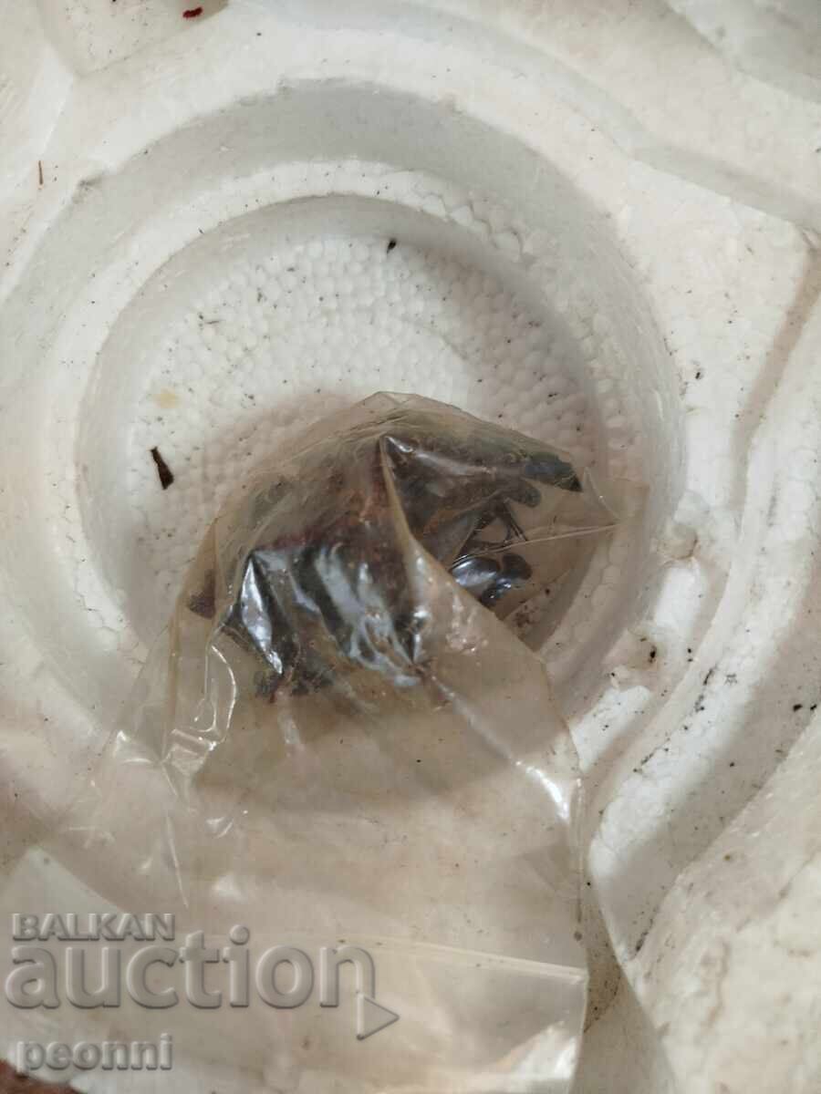 Car Speakers levis -austria - 5