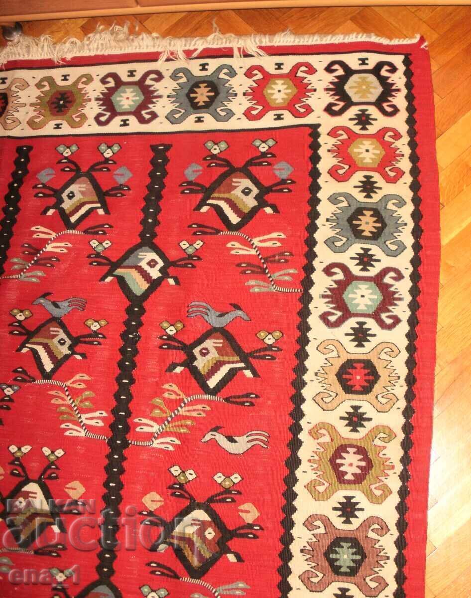 Covor original chiprovski, conservat, cu pui - 165x240cm - 6