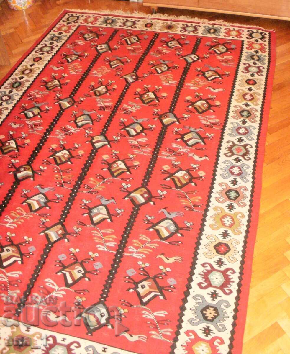 Covor original chiprovski, conservat, cu pui - 165x240cm - 7