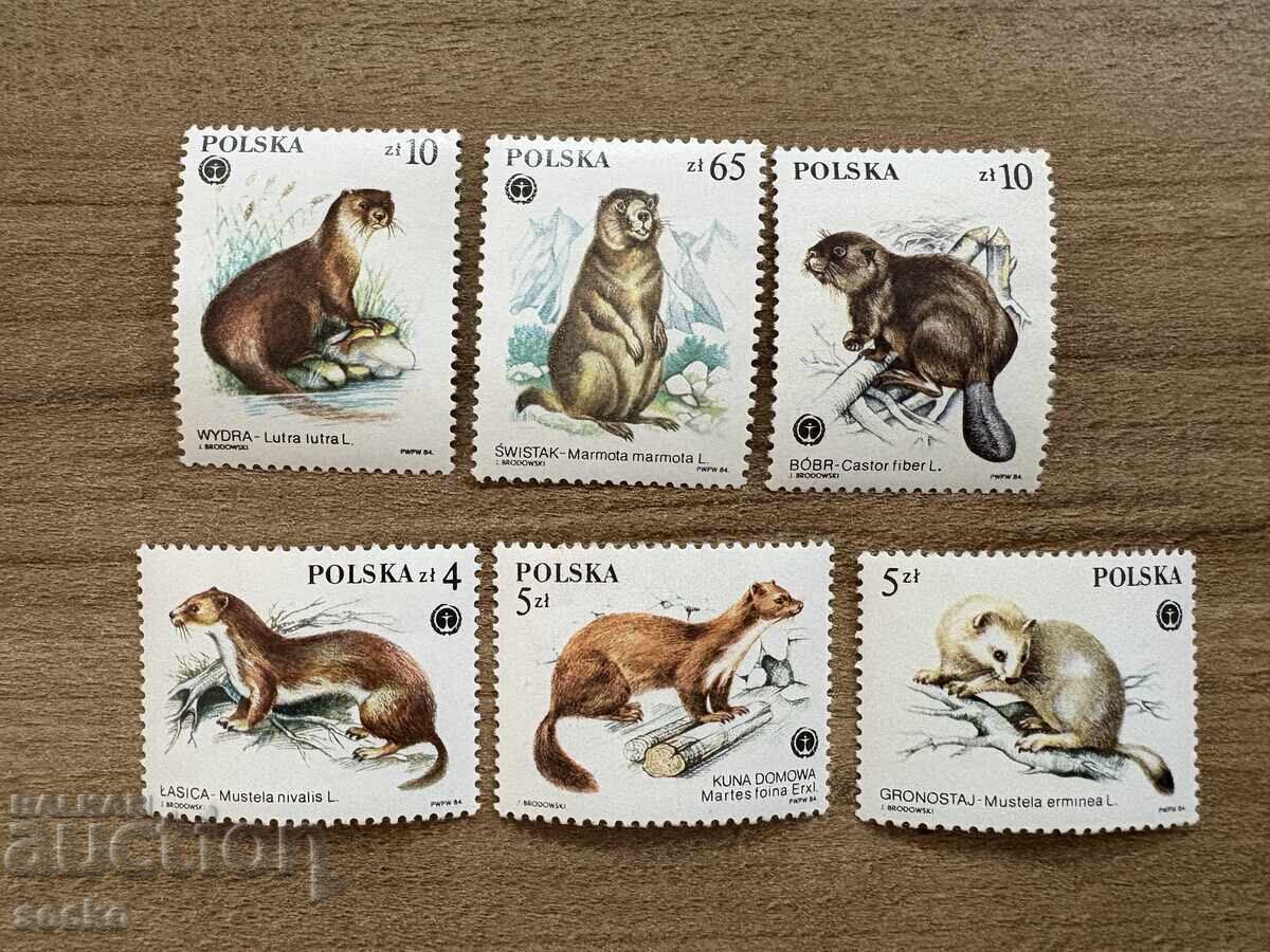 Полша - Защитени животни с ценна кожа (1984) MNH Полша - Защитени животни с ценна кожа (1984) MNH