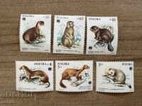Πολωνία - Προστατευόμενα ζώα με πολύτιμο δέρμα (1984) MNH