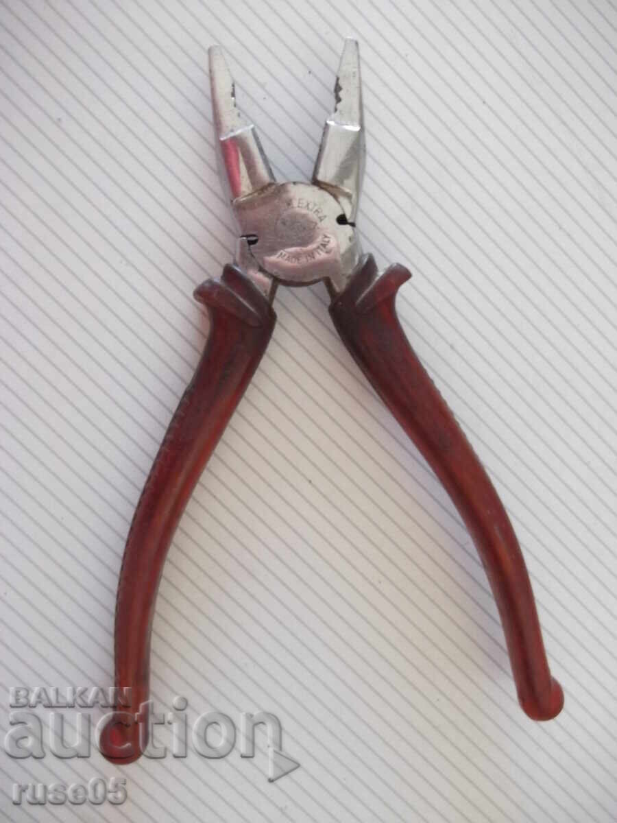 Auction Italian Ticks Auction Italian Ticks