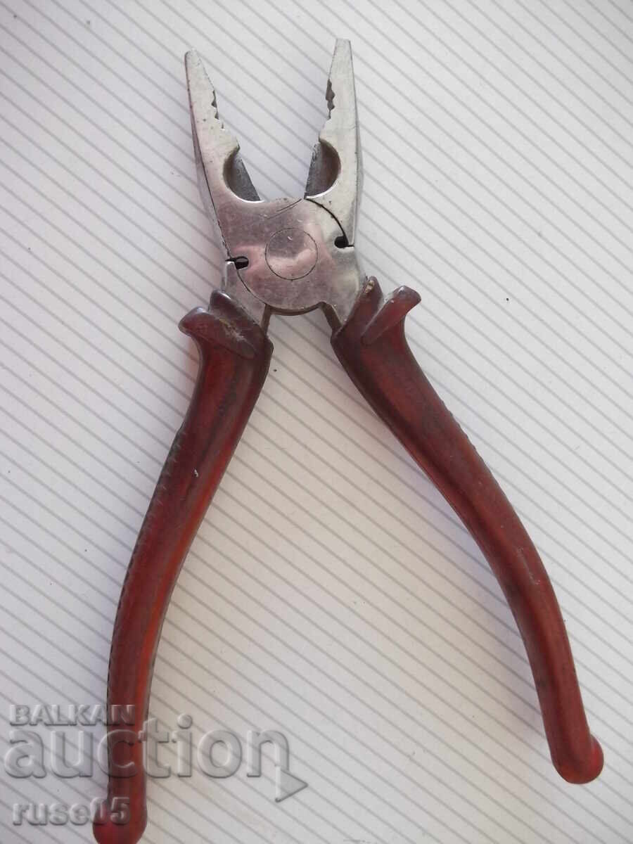 Delivery of Italian Ticks Delivery of Italian Ticks