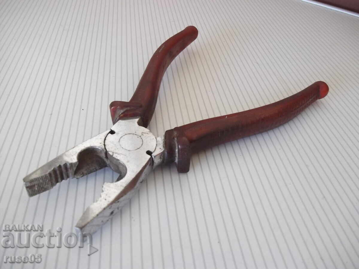 Italian Ticks - 5 Italian Ticks - 5