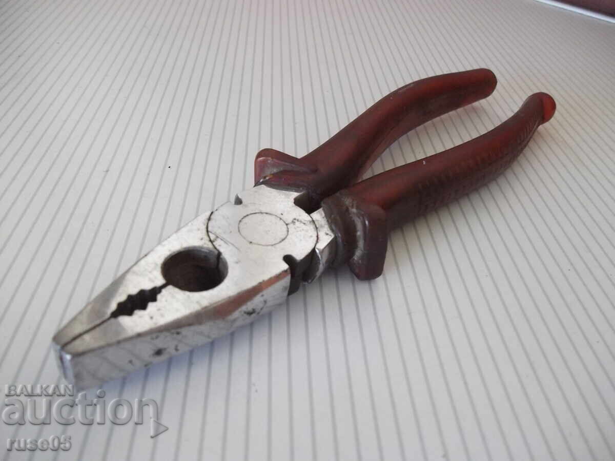 Italian Ticks - 6 Italian Ticks - 6