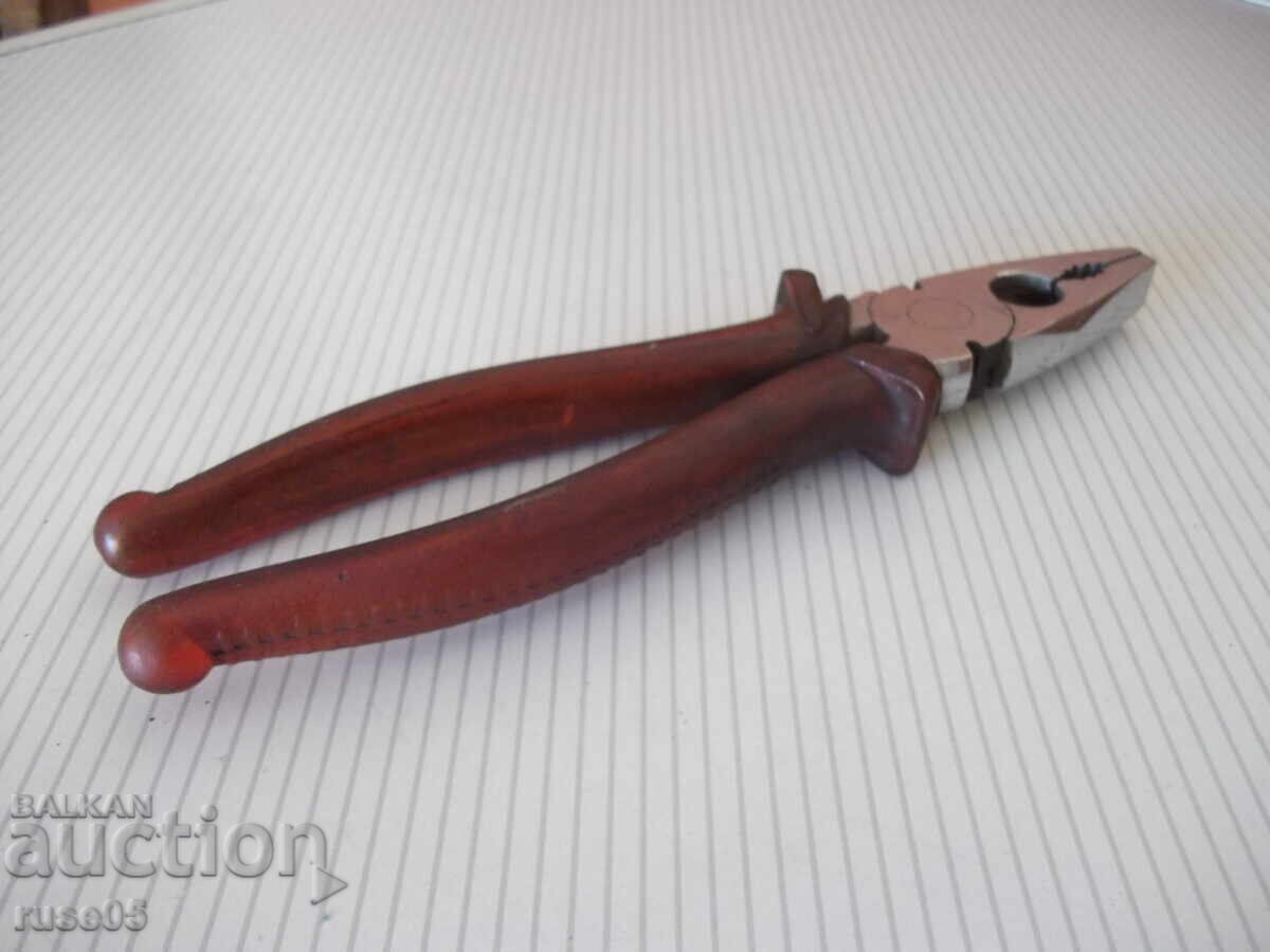 Italian Ticks - 7 Italian Ticks - 7