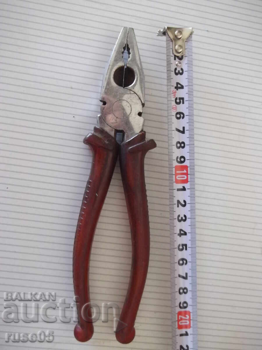 Italian Ticks Italian Ticks