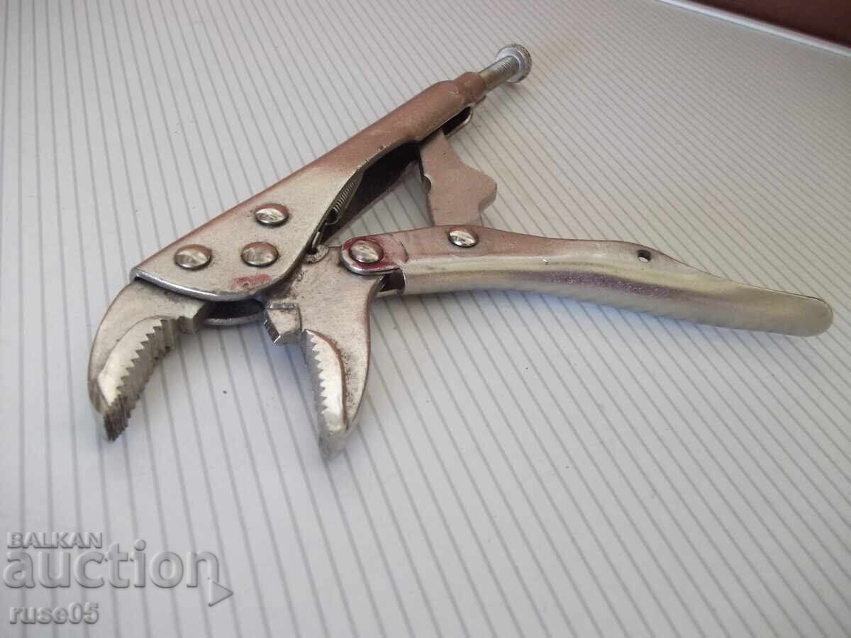 Auction  Chirac Ticks