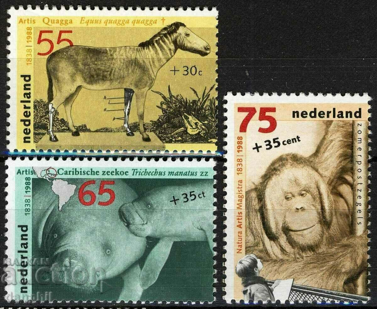 Нидерландия 1988 150 г. Зоопарк в Амстeрдам, Mi 1339A-41A Нидерландия 1988 150 г. Зоопарк в Амстeрдам, Mi 1339A-41A