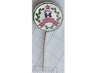 18989 Значка - Krivaja