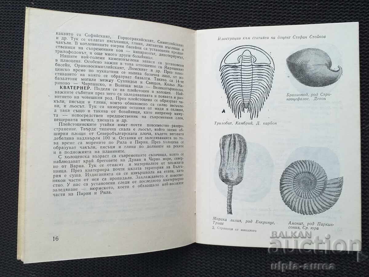 BTS with price 2.50 BGN | € 1.28