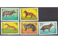 BK 2659-2663 Mamifere prădătoare (FĂRĂ 13 ST.) !!!