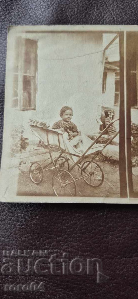 Licitație SOFIA - VIOLETĂ LA 14 LUNI - 1923 g