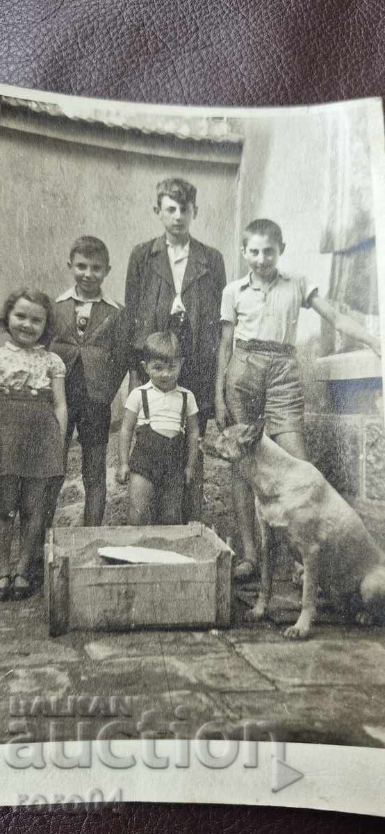 ΒΕΛΓΙΚΟΣ ΠΟΙΜΕΝΙΚΟΣ - ΠΑΙΔΙΑ - 1943 με τιμή 9.99 BGN | € 5.11