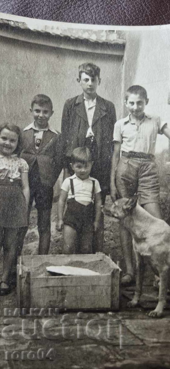 Δημοπρασία ΒΕΛΓΙΚΟΣ ΠΟΙΜΕΝΙΚΟΣ - ΠΑΙΔΙΑ - 1943