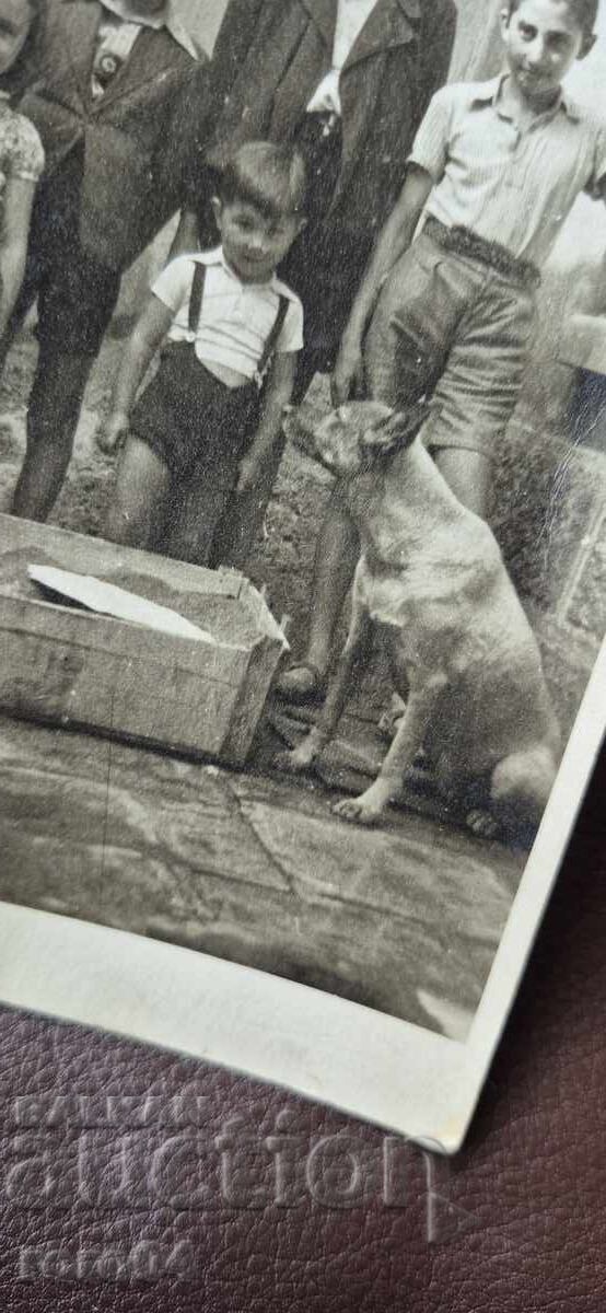 Παράδοση ΒΕΛΓΙΚΟΣ ΠΟΙΜΕΝΙΚΟΣ - ΠΑΙΔΙΑ - 1943