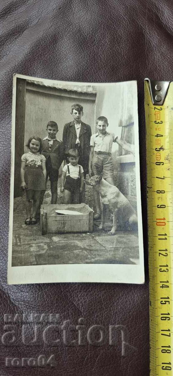 ΒΕΛΓΙΚΟΣ ΠΟΙΜΕΝΙΚΟΣ - ΠΑΙΔΙΑ - 1943 - 5