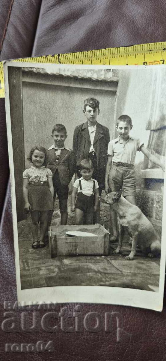 ΒΕΛΓΙΚΟΣ ΠΟΙΜΕΝΙΚΟΣ - ΠΑΙΔΙΑ - 1943 - 7