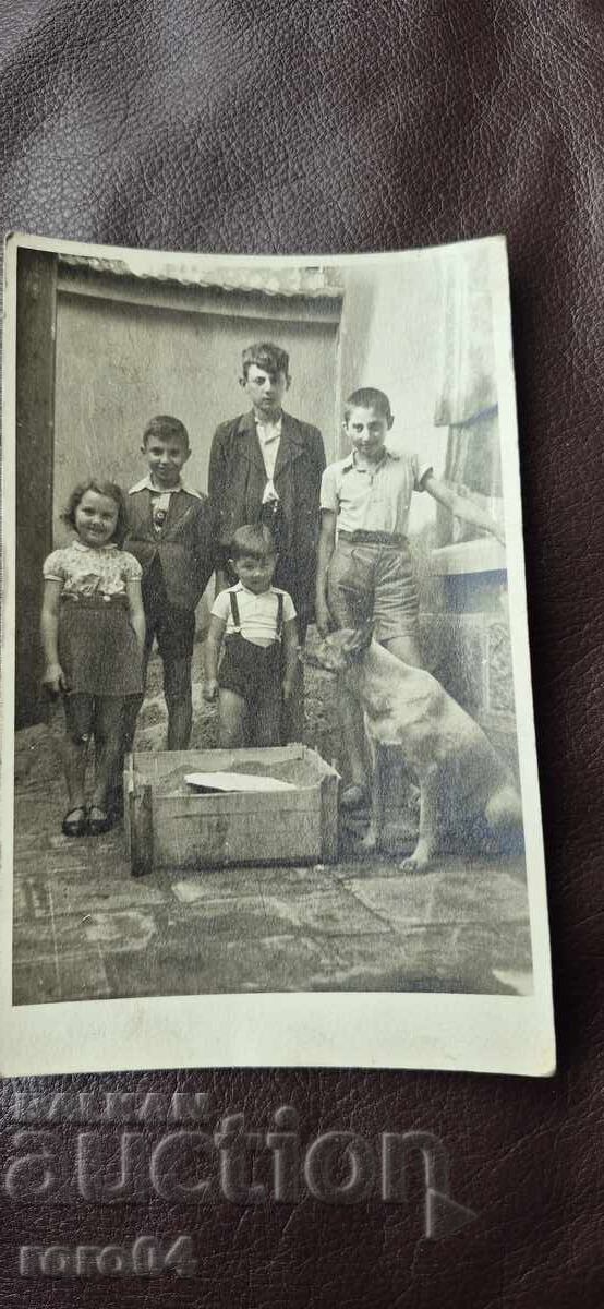 ΒΕΛΓΙΚΟΣ ΠΟΙΜΕΝΙΚΟΣ - ΠΑΙΔΙΑ - 1943