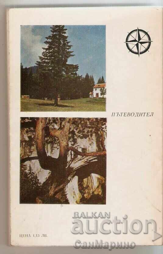 Οδηγός Ροδόπης Τσερνάτιτσα με τιμή 4.90 BGN | € 2.51