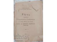 DISCURS DIN ADUNAREA NAȚIONALĂ 1919