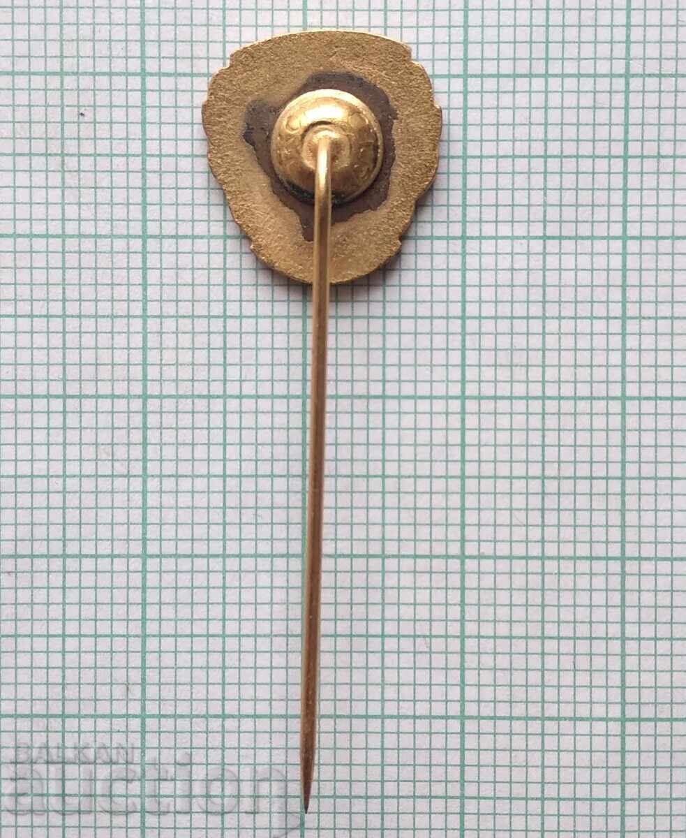 19018 Insigna de fotbal - FK Vardar Skopje - email bronz - 6