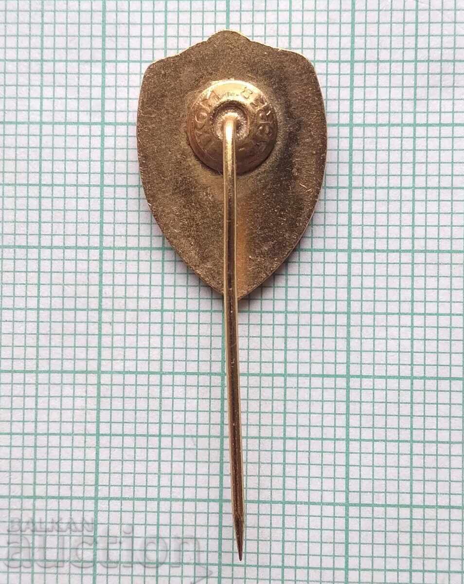 19019 Football badge - FK Vardar Skopje - bronze enamel - 5