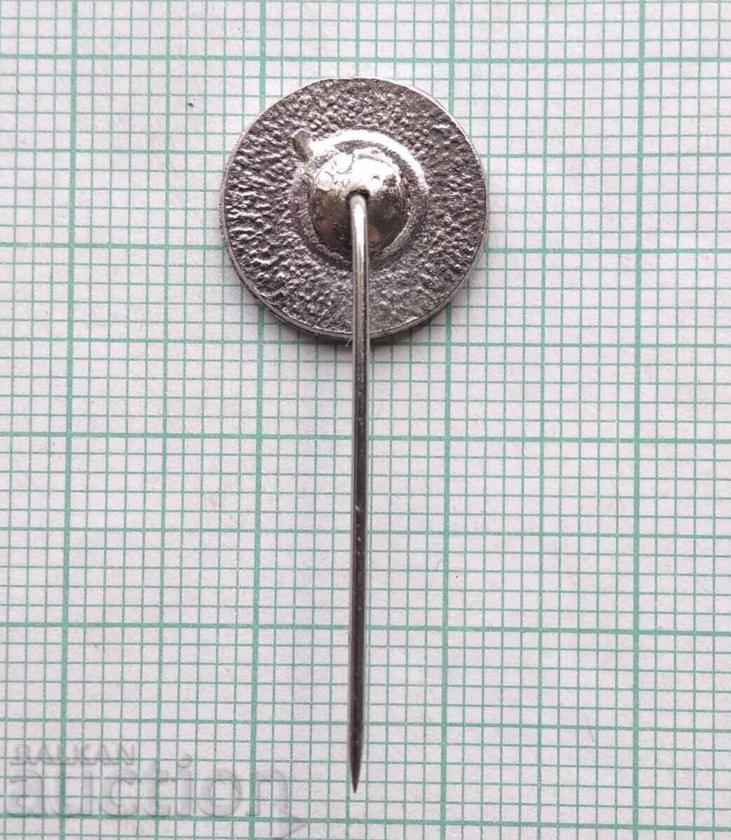 Delivery of 19023 Football Badge - FK Dinamo Zagreb