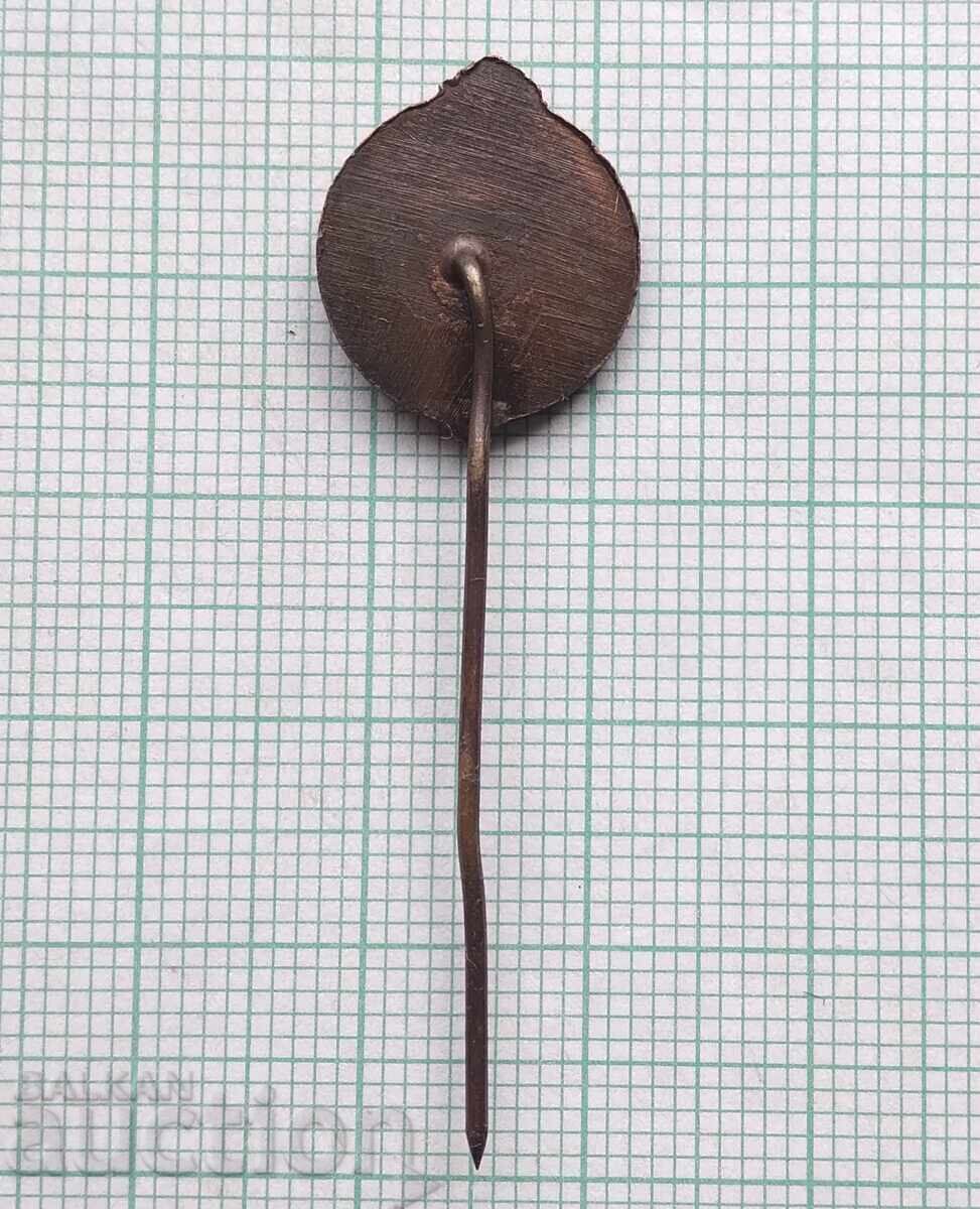 Delivery of 19025 Football Badge - FK Partizan Belgrade