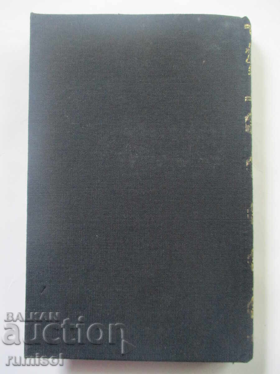 Germinie Lacerteux. The Zemganno Brothers - Edmond and Jules de Goncourt - 6