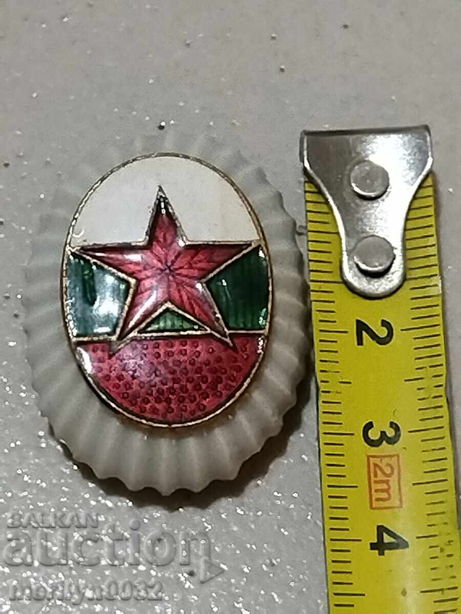 Licitație Cocarda de ofițer emailată, porțelan emailat, semn, insignă