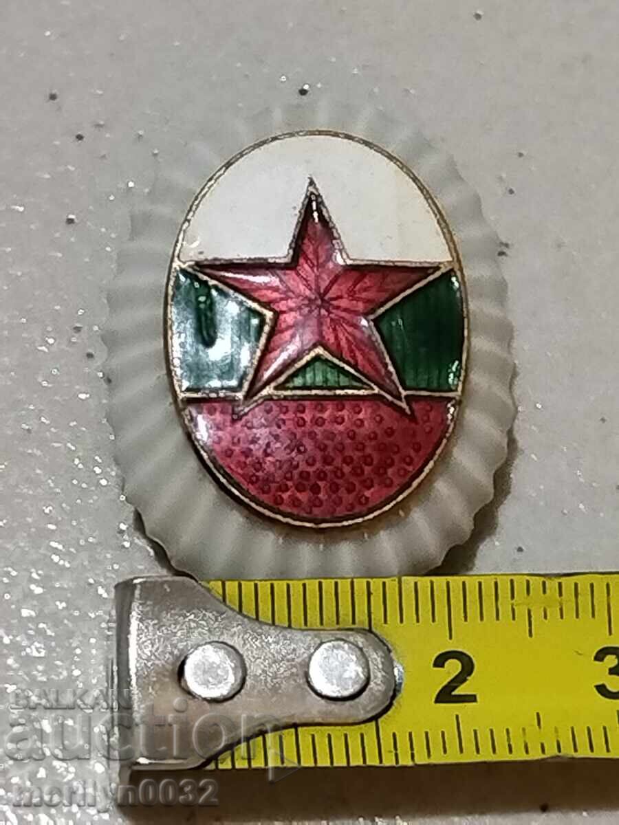 Livrarea Cocarda de ofițer emailată, porțelan emailat, semn, insignă