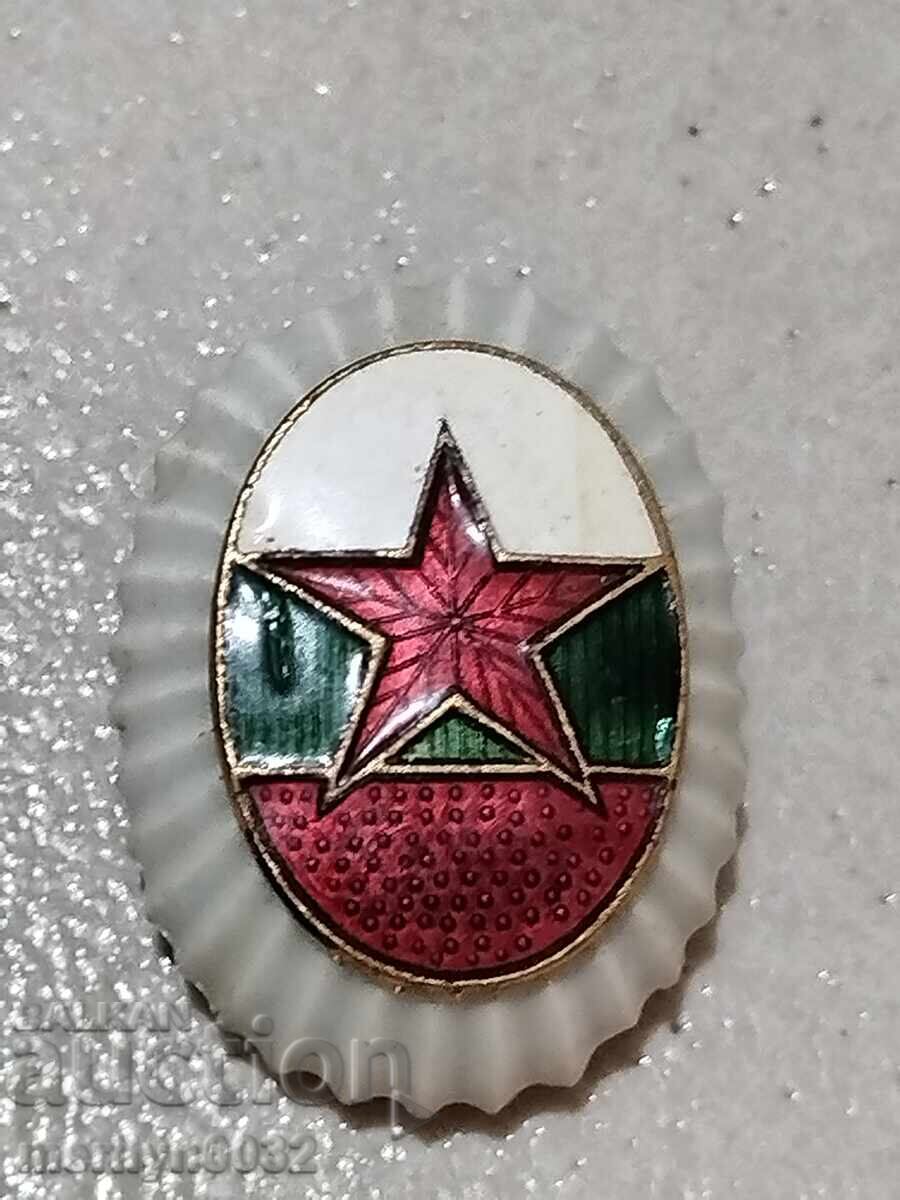 Cocarda de ofițer emailată, porțelan emailat, semn, insignă - 5