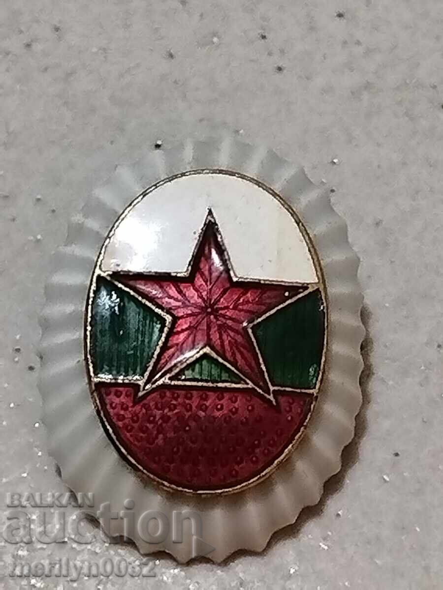 Cocarda de ofițer emailată, porțelan emailat, semn, insignă