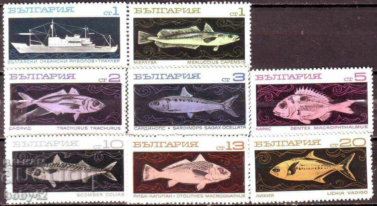 БК 2020-2027 Океански риболов