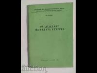 Creșterea ciupercii Champignon. Țvetana Rancheva