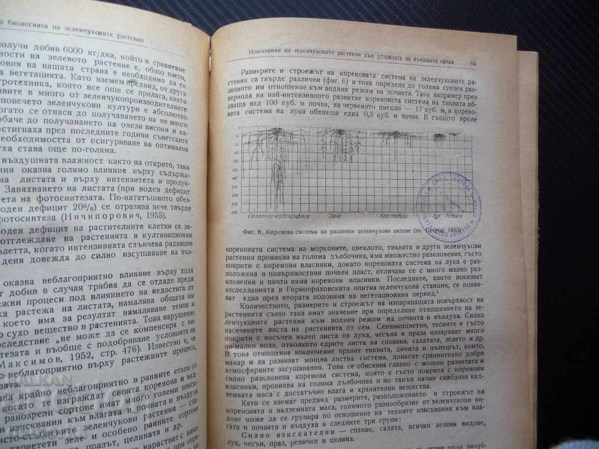 Producție de legume Hr. Daskalov, N. Kolev legume grădină cu preț 22.00 BGN | € 11.25