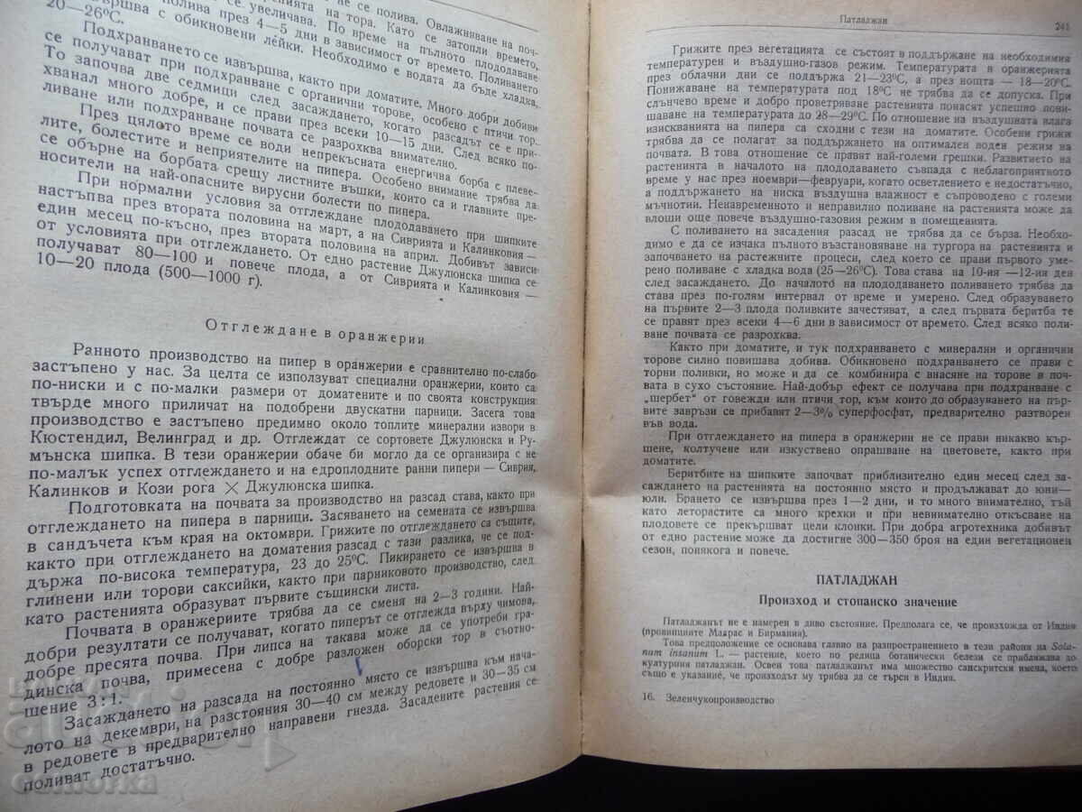 Licitație Producție de legume Hr. Daskalov, N. Kolev legume grădină
