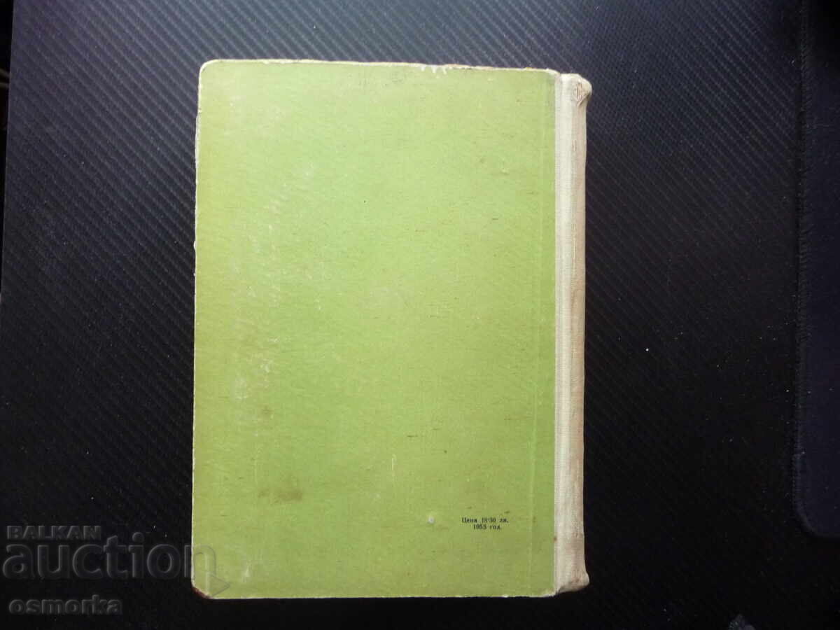 Producție de legume Hr. Daskalov, N. Kolev legume grădină - 5