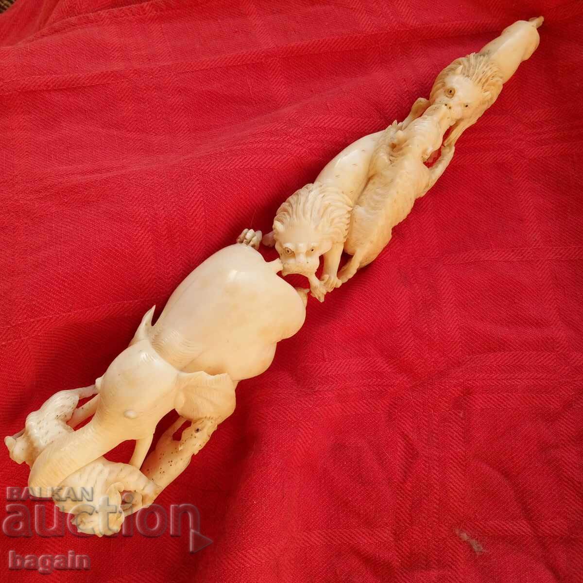 Licitație Colț de elefant.