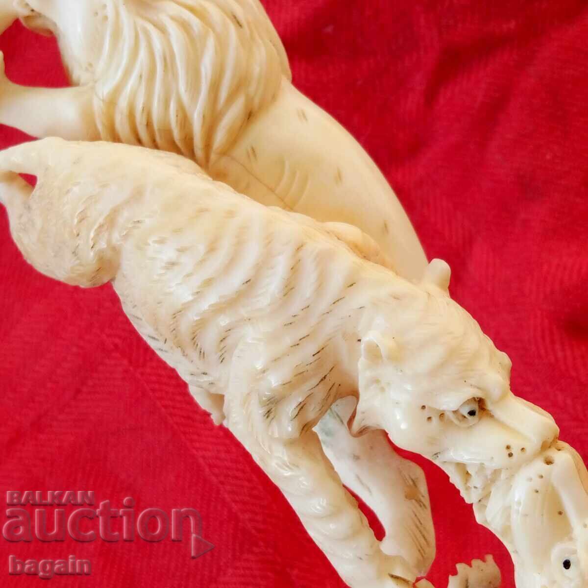 Colț de elefant. - 5