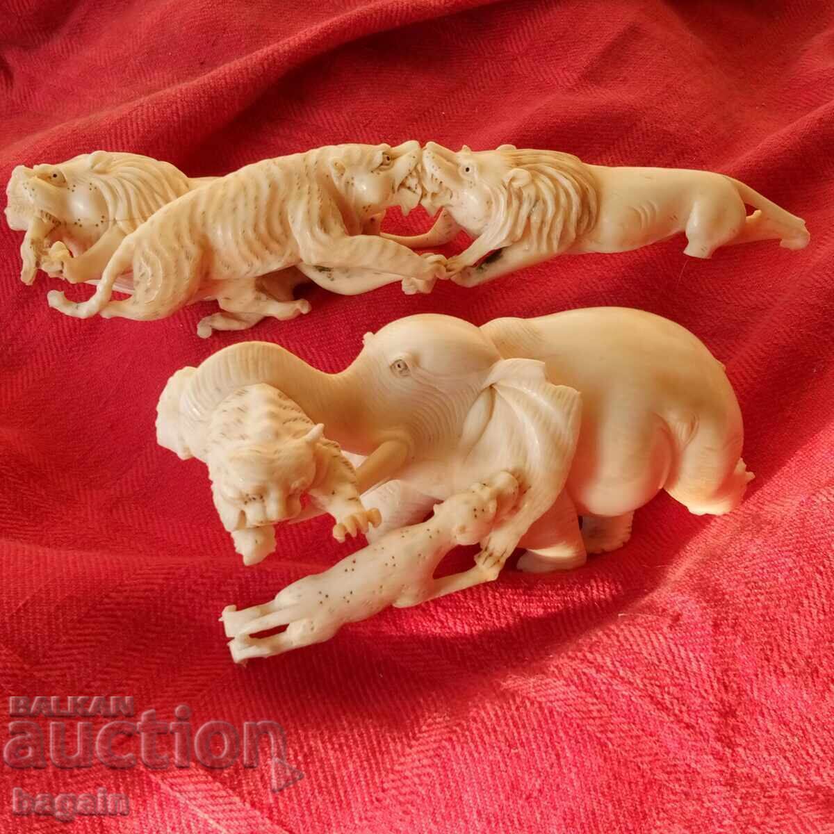 Χυλιόδοντας ελέφαντα. - 6